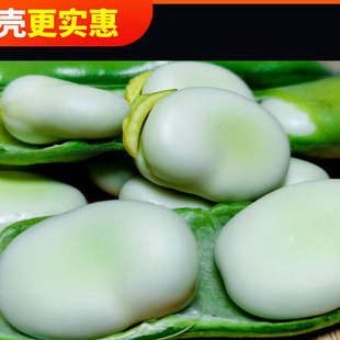 云南高原兰花豆蚕豆新鲜蔬菜嫩罗汉豆绿心去壳青胡豆米 白壳蚕豆