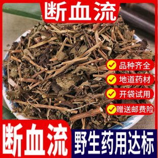 断血流中药材野生灯笼草山藿香走马灯笼草断雪流正品药用批发包邮