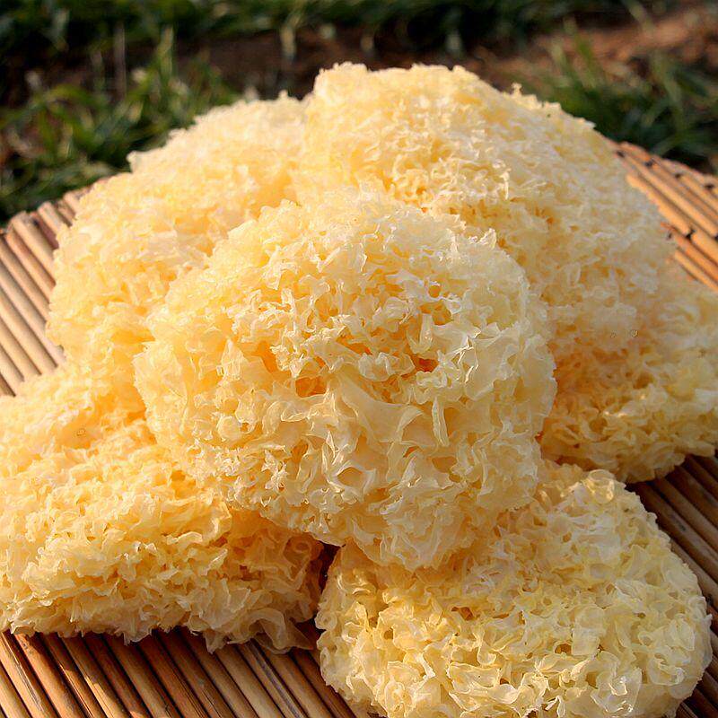 自家种特产级银耳500g干货新鲜白木耳雪耳无硫搭配桃胶雪燕皂角米