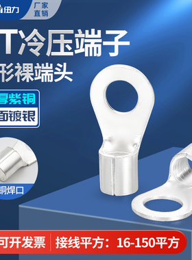 OT紫铜冷压接线端子压线鼻子铜鼻子裸端头16/25/95/120/150大规格