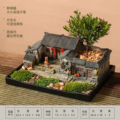 桌面微景观造景植物盆景办公室复古房子模型摆件怀旧装饰品老物件