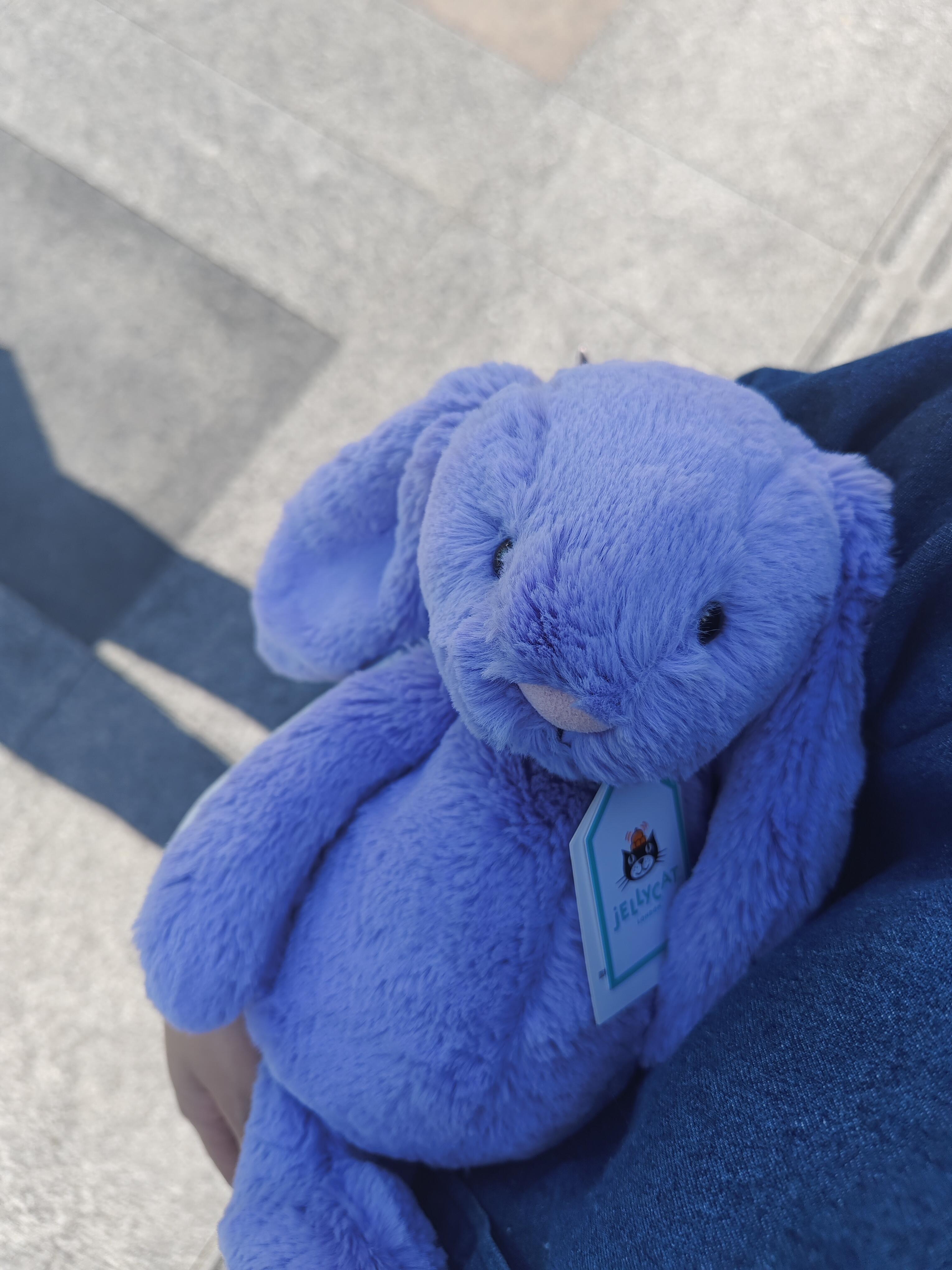 百补Jellycat害羞紫罗兰邦尼兔图片