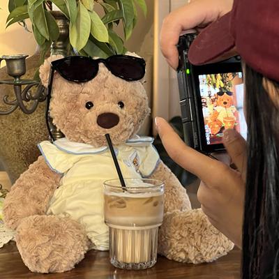 英国JELLYCAT笨笨熊泰迪毛绒公仔