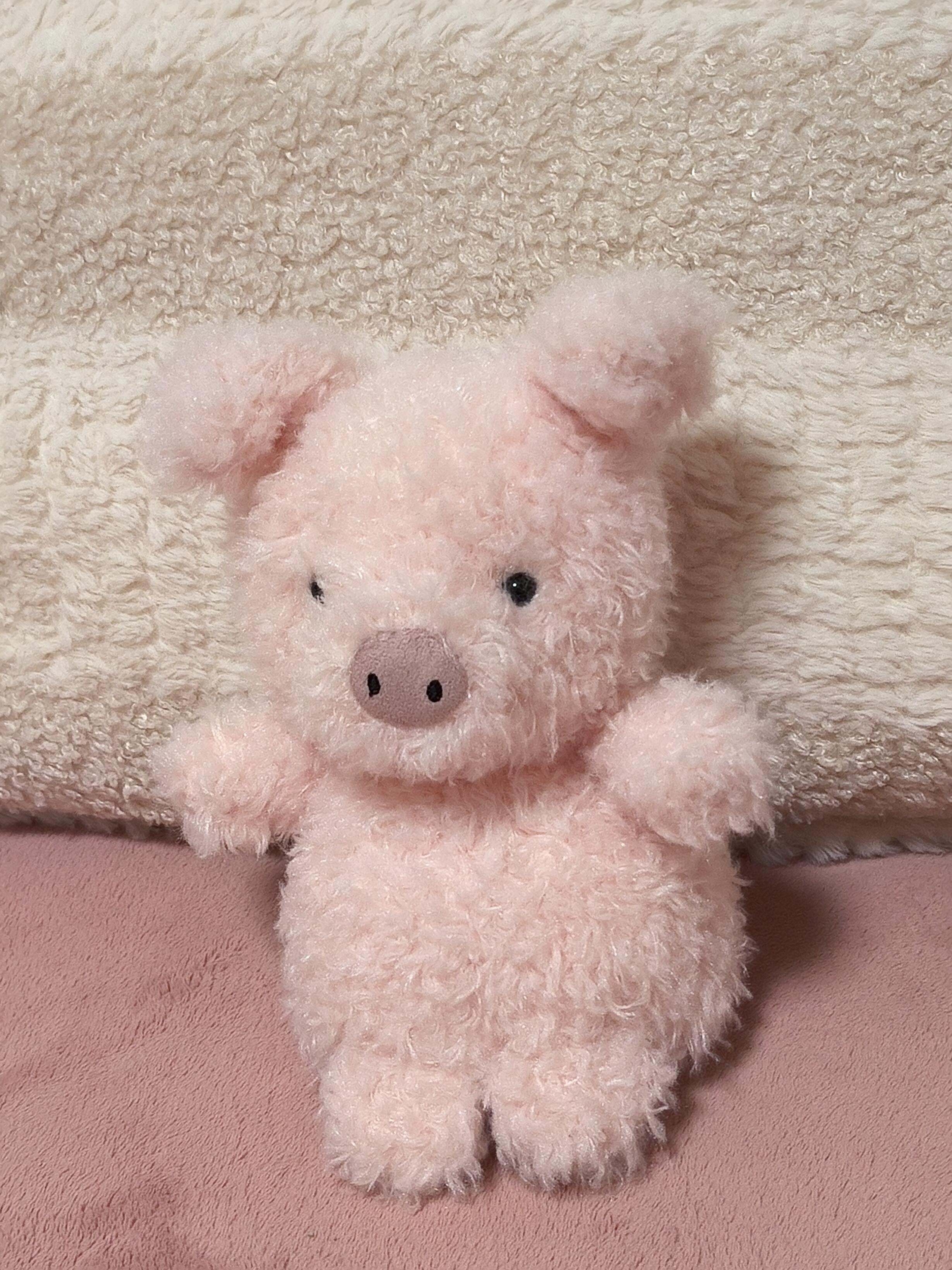 百补Jellycat小猪毛绒玩具玩偶儿童公仔可爱娃娃陪伴生日七夕礼物