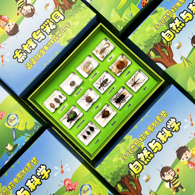 全鹿真实昆虫标本礼盒装