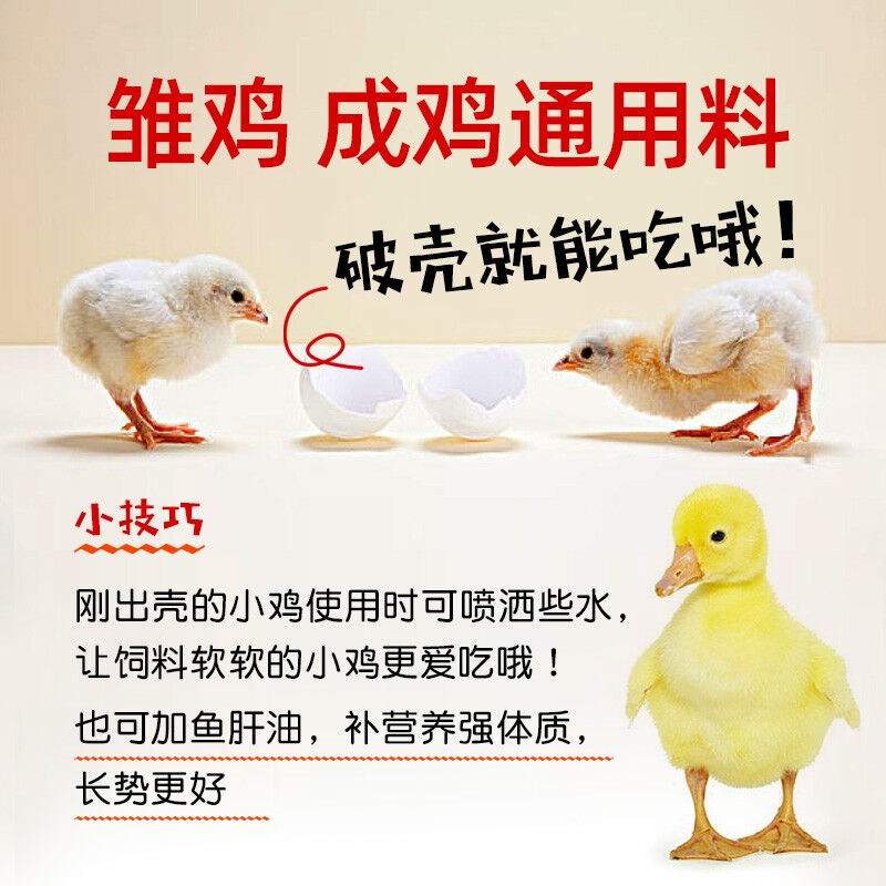 牧品雏鸡饲料小鸡开口料全价料蛋鸡鸭鹅鹌鹑颗粒料钓鱼打窝破碎料