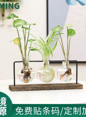 北欧ins铁艺水培植物花瓶铁架简约清新绿萝花器家居桌面摆件定制