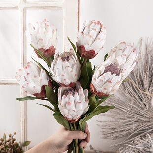 永生帝王花仿真花假花绿植物装饰工艺品INS风MW25580定制