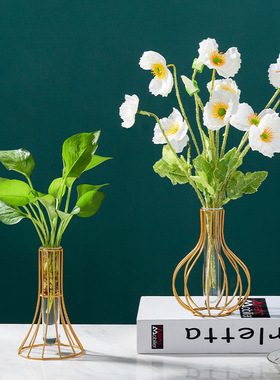 铁艺葫芦玻璃试管绿萝花瓶 水培绿植摆件养殖插花容器工艺品装饰