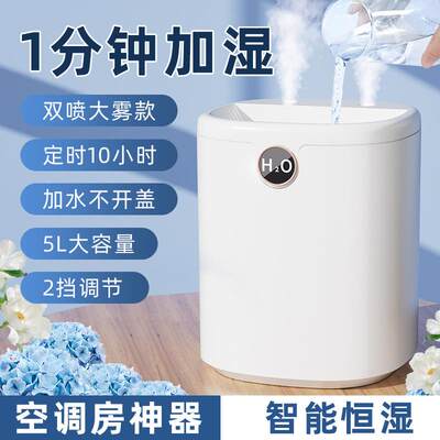 双喷5L大容量加湿器家用桌面大雾量加湿器补水空气净化器H10