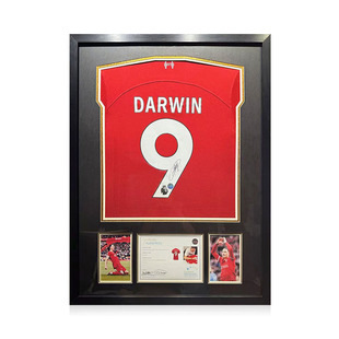 达尔文·努涅斯 亲笔签名 2023-24赛季利物浦队球衣 EM证书