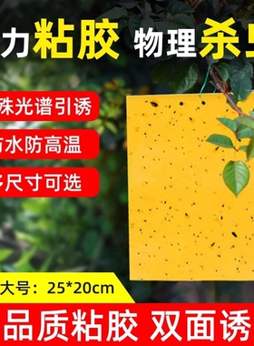 黄板双面粘虫板蓝板家用阳台诱虫果园茶山插杆蓟马果蝇诱捕器灭杀