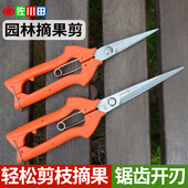 佐川田912稀果采摘剪不锈钢疏果园艺细枝剪葡萄树花椒柑橘修花剪