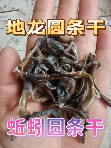 自然晾晒野生青蚯蚓圆条干地龙干未开肚蚯蚓干泥鳅饵黄鳝饵黑蚯蚓