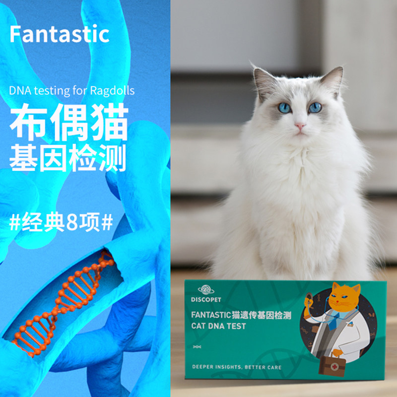 discopet喵星探索猫咪筛查体检布偶猫基因检测常规八项