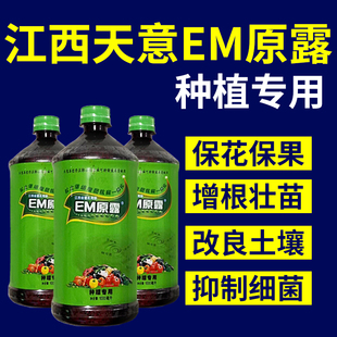 江西天意EM原露种植型原液菌种微生物菌肥发酵剂生根剂叶面肥花卉