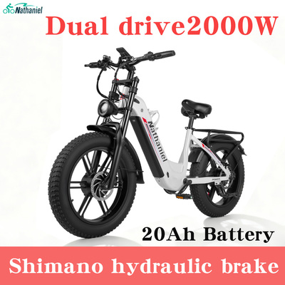 Nathaniel SYR08 E-Bike 20寸双驱2000W电动自行车出口跨境欧洲仓