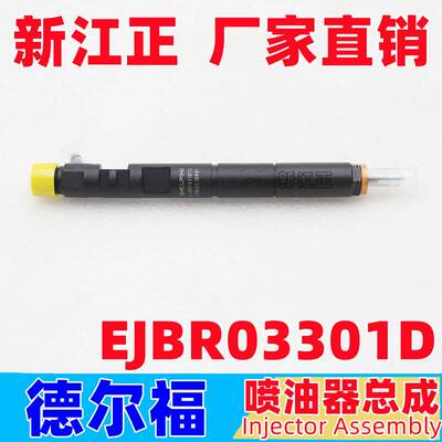 适用于德尔福喷油器 喷油嘴 EJBR03301D喷油器配件