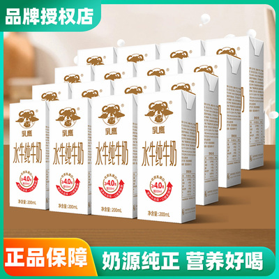 乳鹰水牛纯牛奶200ml*16盒促销装吃甘蔗的水牛奶南国乳业官方正品