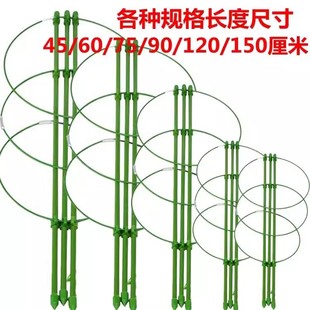 爬藤架花架植物爬藤架绿植花卉防倒伏园艺花支柱支撑杆月季 铁线莲