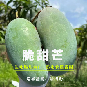 脆甜芒生吃芒果甜心芒果腌芒果酸野生熟两吃越南大青芒果生吃脆甜