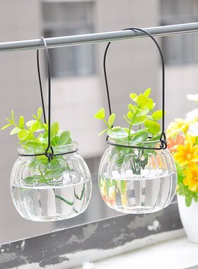 室内悬挂透明水培植物玻璃花瓶