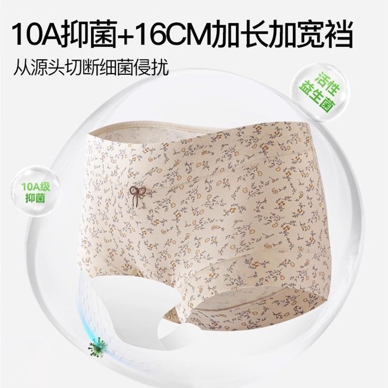 10A全棉抑菌加长裆女士内