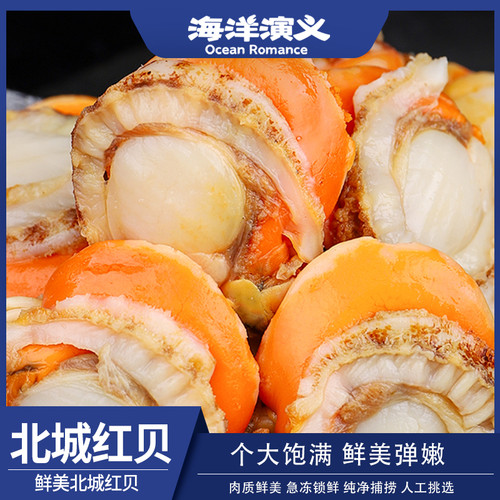 海洋演义【10包】扇贝肉 200g/包 饱满嫩滑味道鲜美带膏带黄无沙
