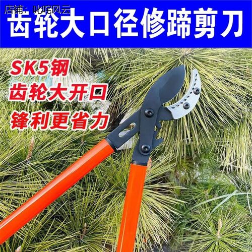 牛羊猪修蹄剪跛蹄专用剪