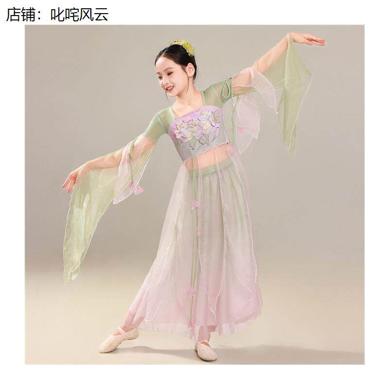 儿童舞蹈服古典舞演出服飘逸仙气纱衣中国舞现代舞练功服2025新款