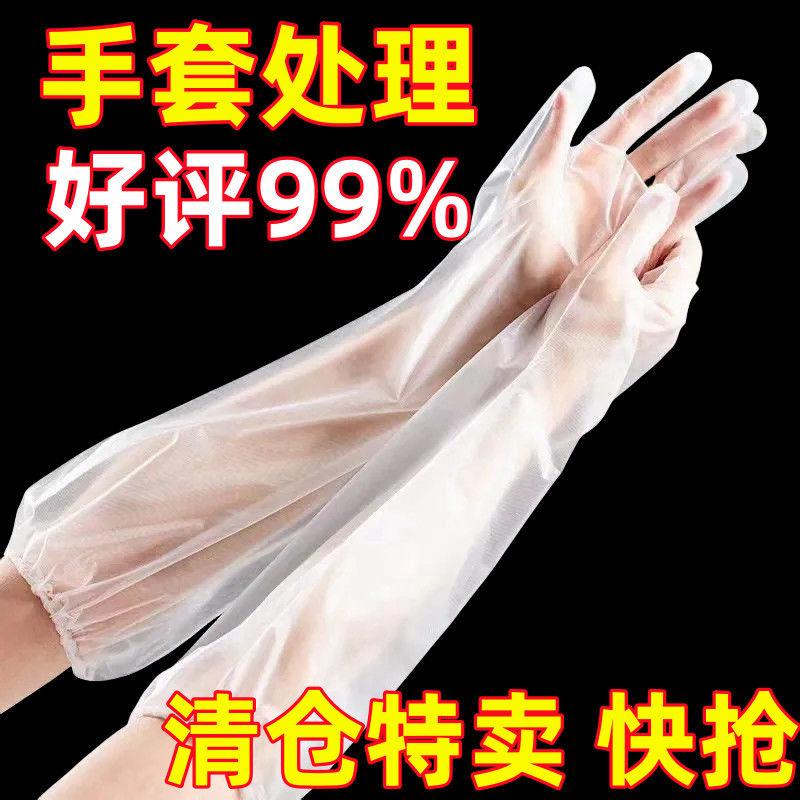 洗碗家务厨房长臂餐饮一次性手套