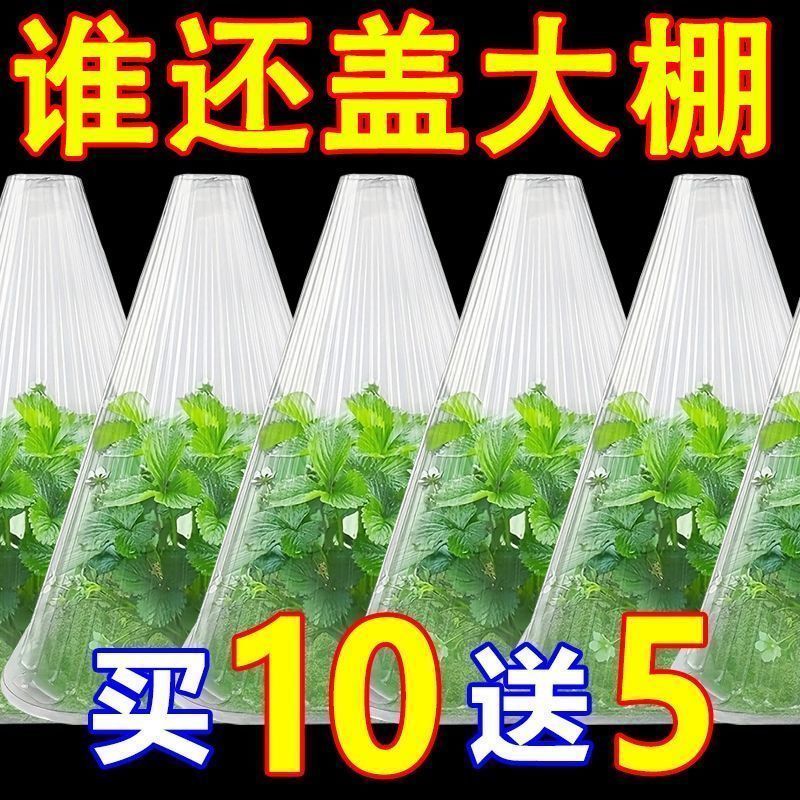 育苗加厚透明钟罩防霜防鸟可重复