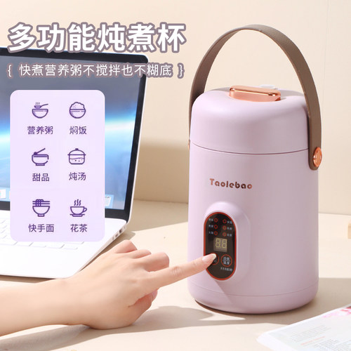 多功能便携宿舍电炖杯快煮慢炖