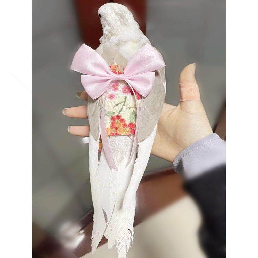 鹦鹉尿不湿屎兜牡丹鸟用尿布鸟衣服飞行服尿裤溜鸟神器,宠物/宠物食品及用品,猫宠物服装/雨衣（新）,淘宝优惠券,粉丝福利购,淘宝优惠卷