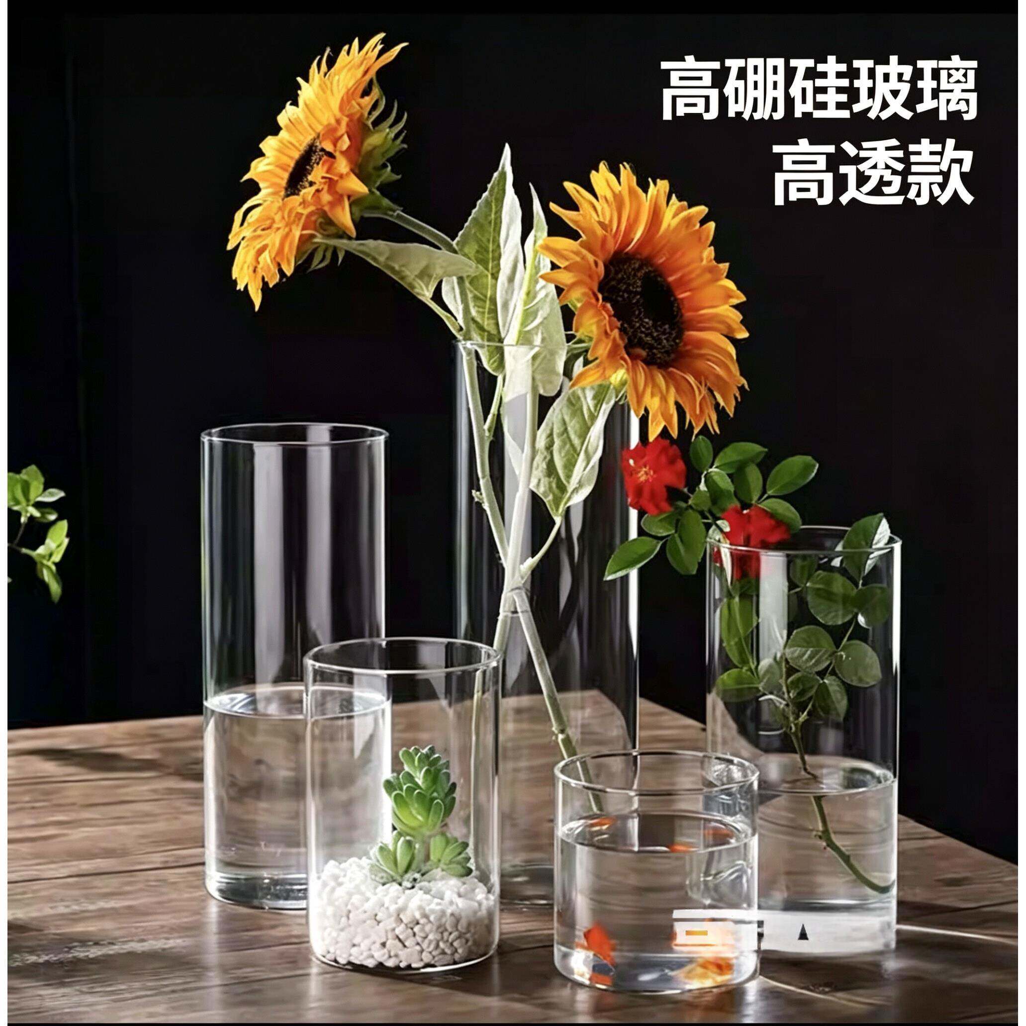 玻璃水培花盆高硼硅植物瓶室内桌面小直筒艺术插花花瓶苔藓生态瓶