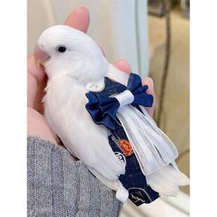 鹦鹉屎兜牡丹纸尿裤玄凤虎皮鸟用防水尿不湿粪便新年款飞行衣服绳