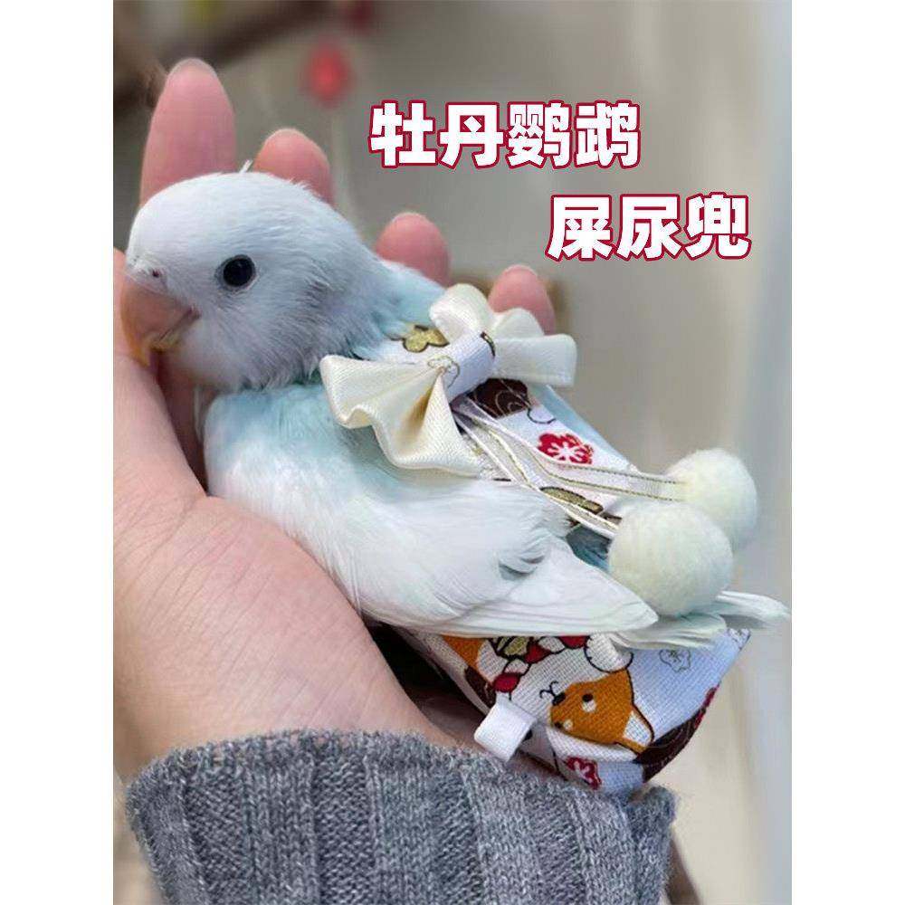鹦鹉尿不湿屎兜牡丹粪便屁兜玄凤虎皮鸟用立体大容量纸尿裤飞行衣,宠物/宠物食品及用品,猫宠物服装/雨衣（新）,淘宝优惠券,粉丝福利购,淘宝优惠卷