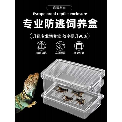 面包虫饲养盒蟋蟀大麦虫螳螂九龙虫守宫蜘蛛喂食盒昆虫粪便分离器