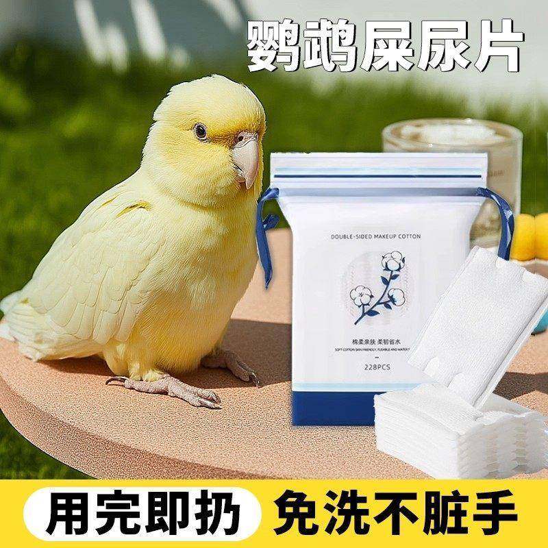 鹦鹉屎兜尿片尿不湿垫一次性隔尿布小鸟玄凤和尚虎皮牡丹用纸尿裤,宠物/宠物食品及用品,猫宠物服装/雨衣（新）,淘宝优惠券,粉丝福利购,淘宝优惠卷