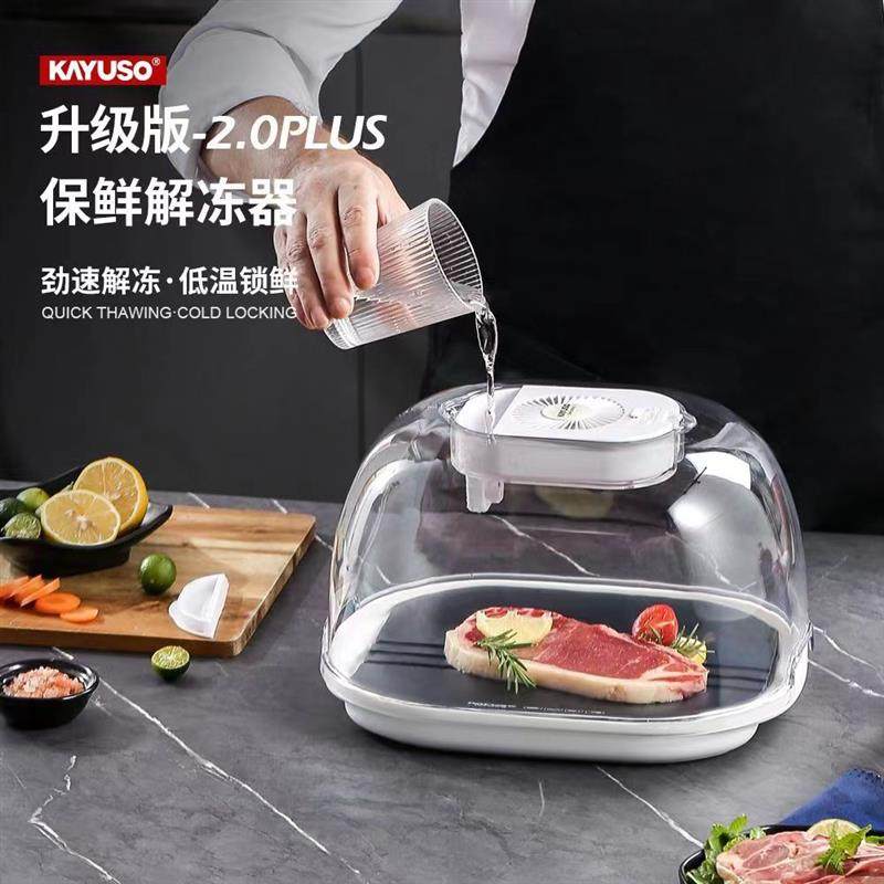 德国解冻器解冻神器多功能全自动智能快速化冻保鲜食物家用肉类导