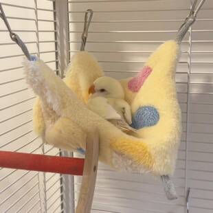 鹦鹉睡窝冬牡丹小被子专用垫子吊床过鸟窝专用棉窝窝巢保暖加厚睡