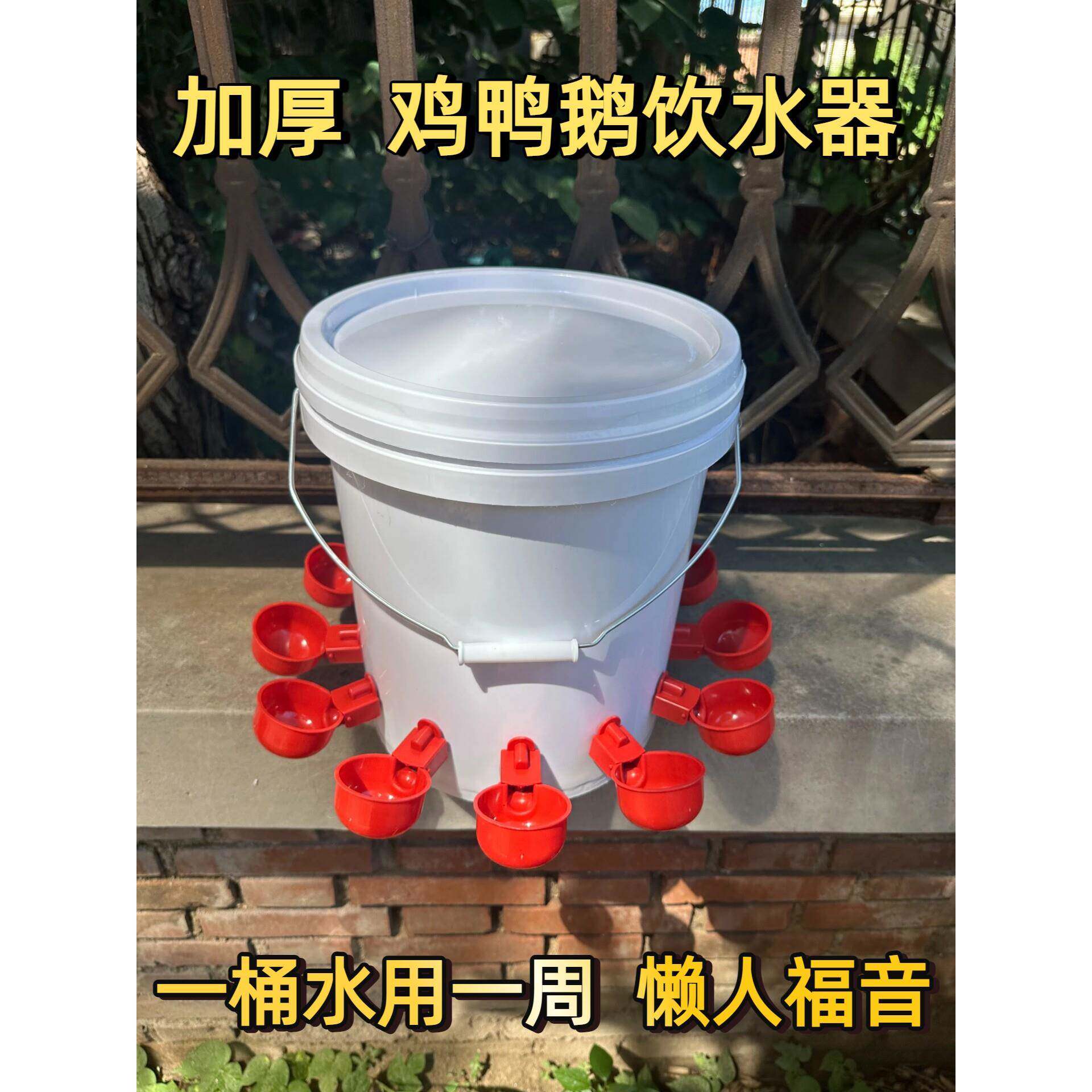 小鸡喝水饮水器家禽自动喂鸡养鸡鸭用食槽水槽一体喂食喂水一体机