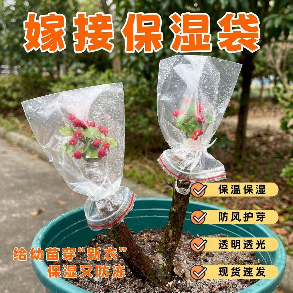 嫁接专用套袋果树苗月季花卉塑料袋保湿袋保温袋自封袋