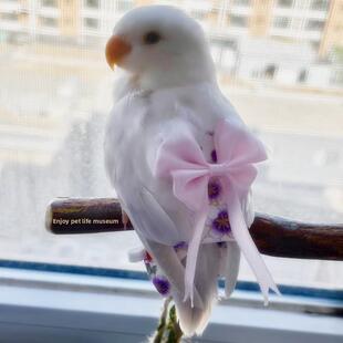 鹦鹉尿不湿屎兜鸟用尿布兜放飞绳飞行服虎皮牡丹玄凤文明兜粪便袋