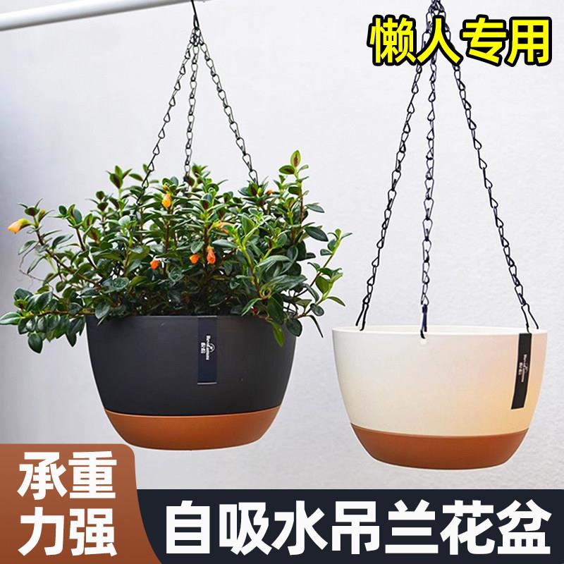 挂式花盆吊兰吊篮悬专用垂吊植物球兰矮牵牛霸王蕨卷叶牡丹大吊盆