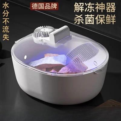 德国解冻器器保鲜快速家用