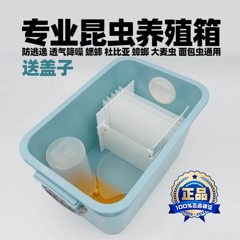 爬虫养殖箱白蟋蟀油葫芦杜