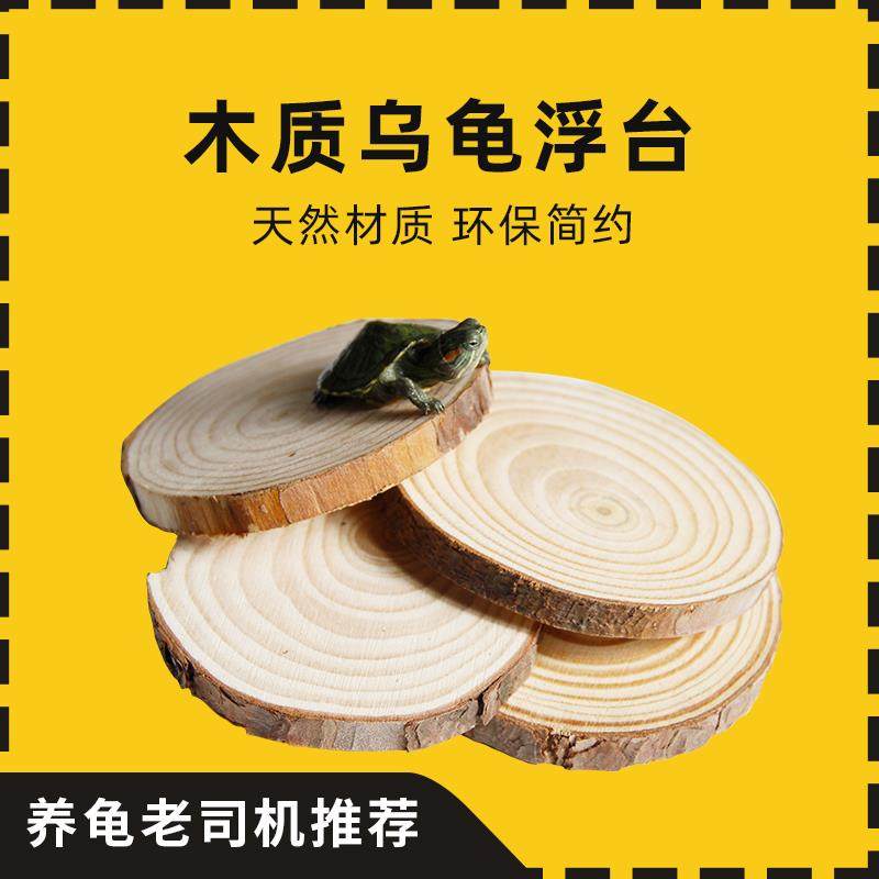 乌龟爬坡晒台浮木用品巴西
