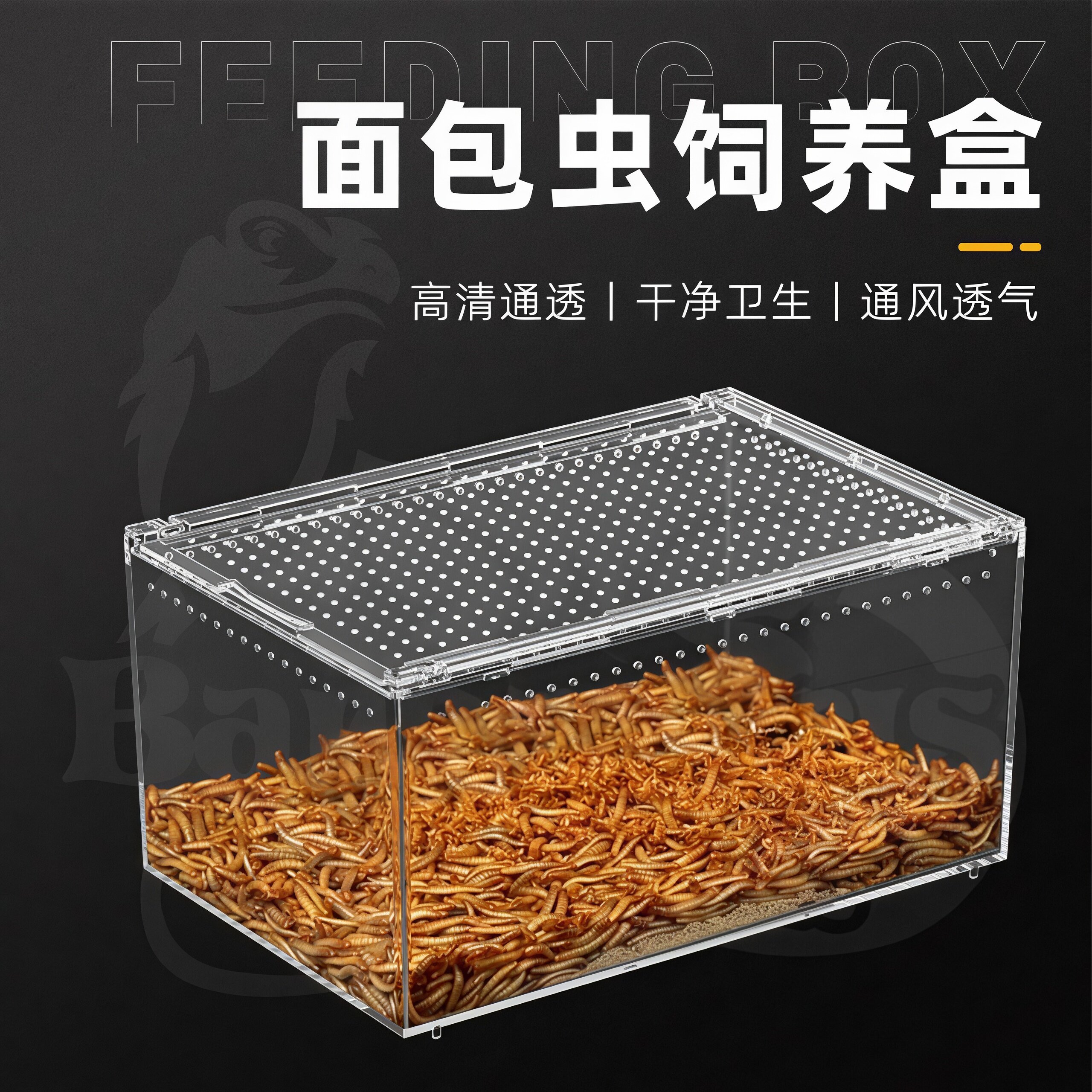 面包虫饲养盒活体专业饲养亚克力
