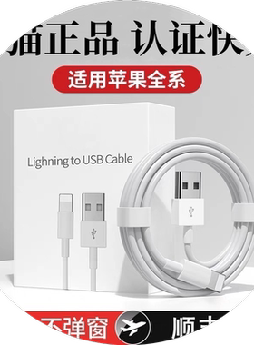 iPhone14适用苹果快充线6/7/8/xs/xr/xmax通用充电器数据线12/13快充加长闪充PD20W快充iPad2米冲电线正品